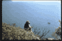 on the Cape peninsula